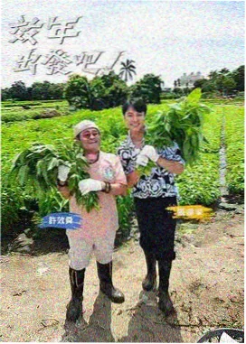 韩剧TV在线观看 快乐大本营